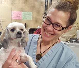 Animal Hospital in the Hartford Area: Veterinarian Holding Dog