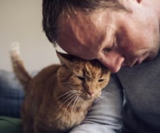 older cat rubbing head with owner